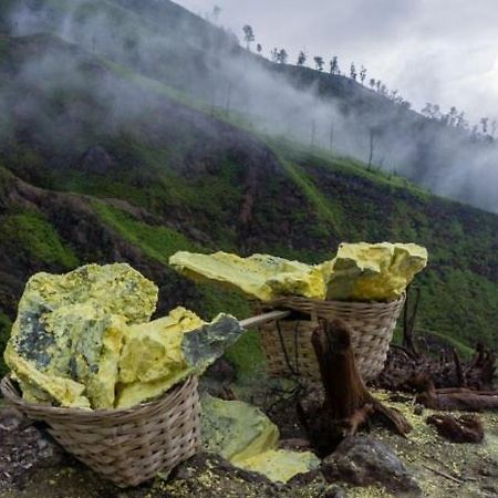Ijen Basecamp & Homestay Ketapang  エクステリア 写真