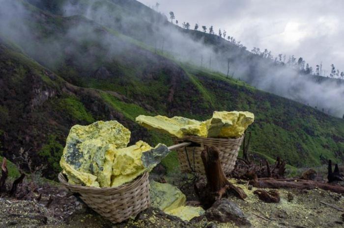 Ijen Basecamp & Homestay Ketapang  エクステリア 写真
